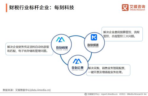 2021上半年中國財稅企業服務行業研究報告 信息咨詢服務的新趨勢與機遇