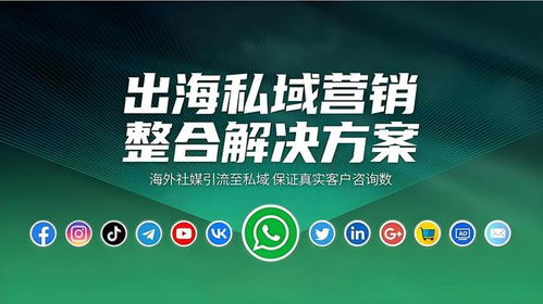 海外社媒代運營性價比深度分析 如何為您的企業挑選合適的優質服務